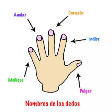 mano